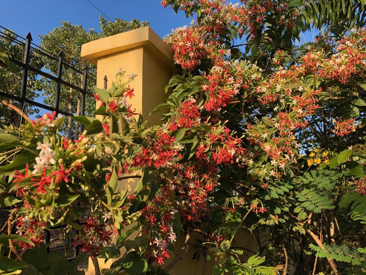 Bangued Strutz Art Garden Resort מראה חיצוני תמונה